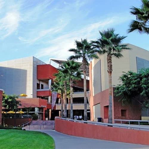 California State University